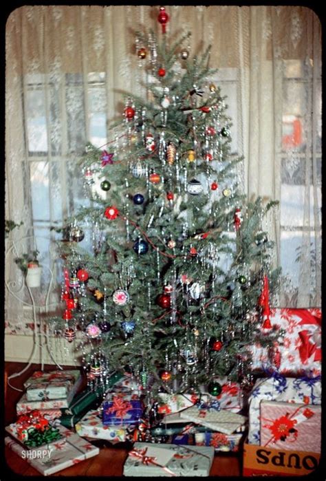 Magical Christmas Tree Safety: How to Prevent Accidents